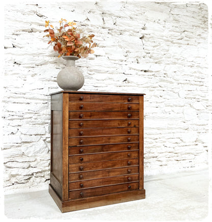 Ancienne Grande Commode de Métier Style Médailler Vintage en Bois Massif