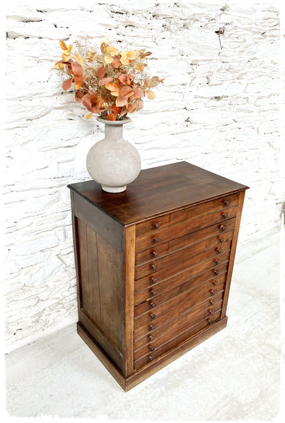 Ancienne Grande Commode de Métier Style Médailler Vintage en Bois Massif