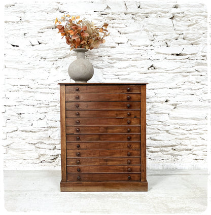Ancienne Grande Commode de Métier Style Médailler Vintage en Bois Massif