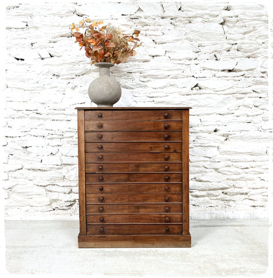 Ancienne Grande Commode de Métier Style Médailler Vintage en Bois Massif