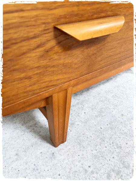 Bibliothèque Bibus Vitrine Vintage Style Scandinave en Teck Blond