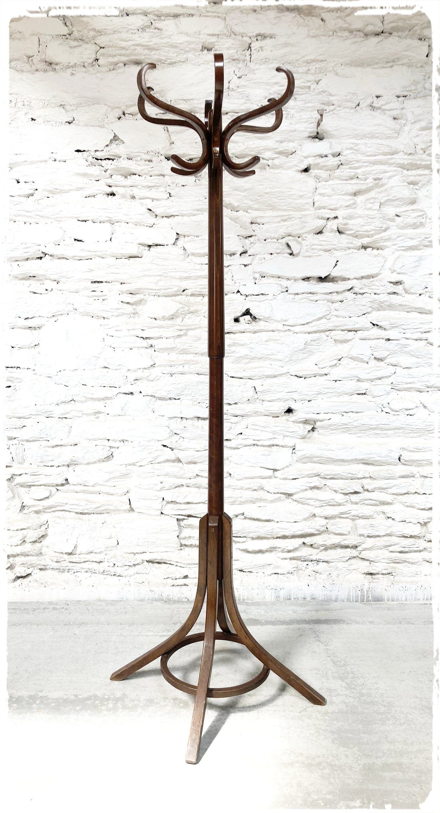 Porte Manteaux Bistrot Perroquet Vintage Baumann Chêne Moyen