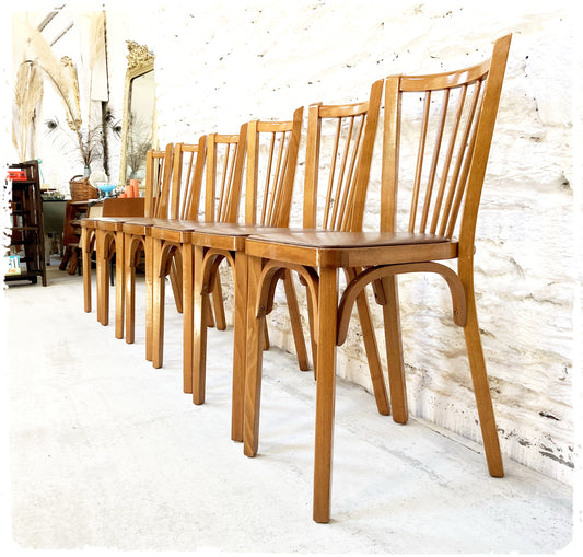 Suite de 6 Chaises Bistrot Vintage Baumann Modèle "53"