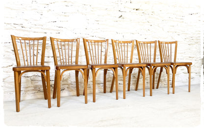 Suite de 6 Chaises Bistrot Vintage Baumann Modèle "53"