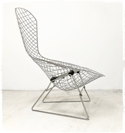 Fauteuil Vintage Bird Harry Bertoia Pour Knoll