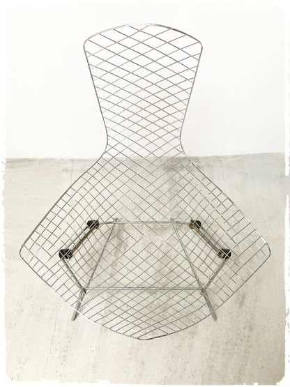 Fauteuil Vintage Bird Harry Bertoia Pour Knoll
