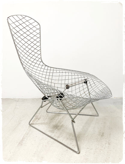 Fauteuil Vintage Bird Harry Bertoia Pour Knoll