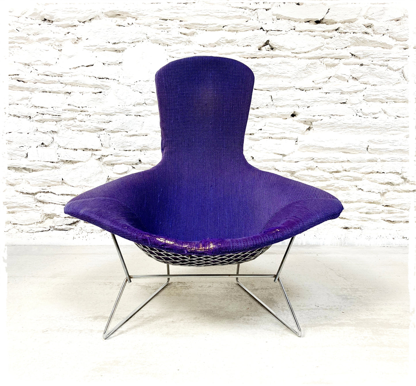 Fauteuil Vintage Bird Harry Bertoia Pour Knoll