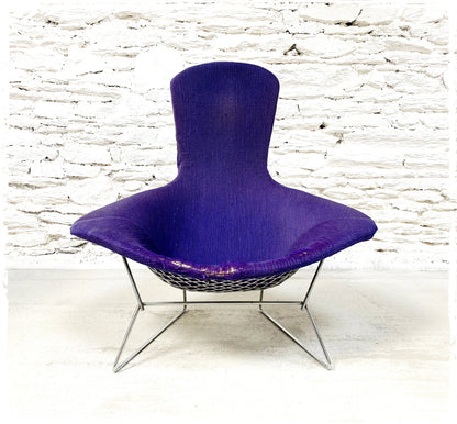 Fauteuil Vintage Bird Harry Bertoia Pour Knoll