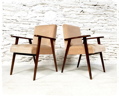 Paire de Fauteuils Vintage Pieds Compas
